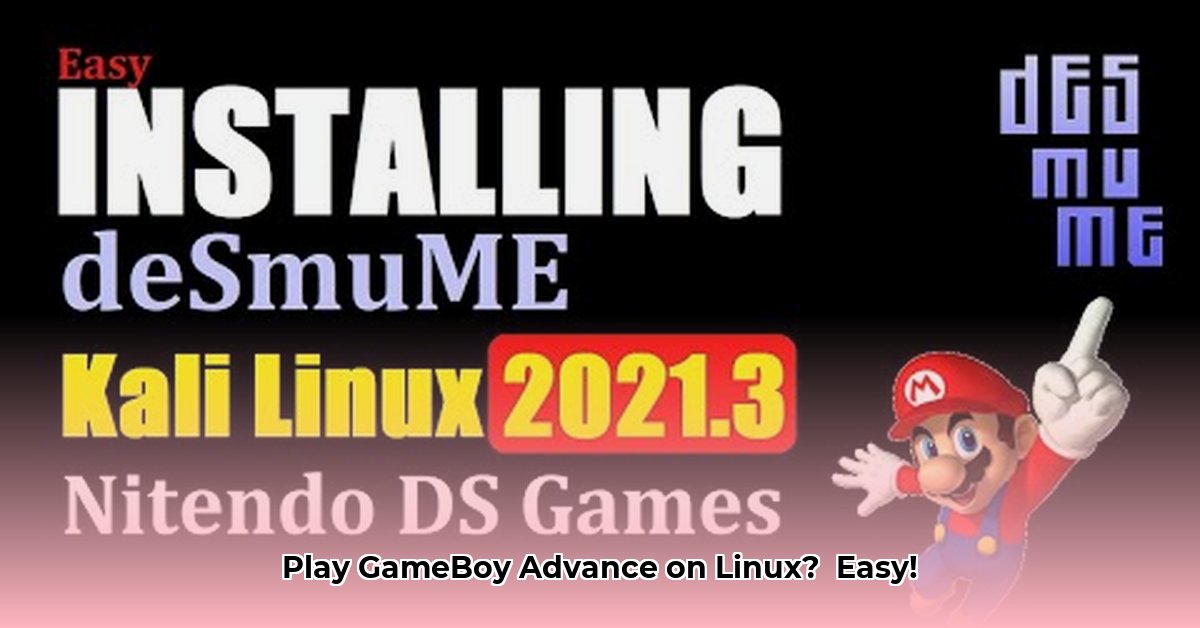 install-desmume-on-linux